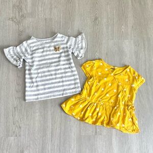 Set of 2 Toddler Girl Shirts- Size 3T
